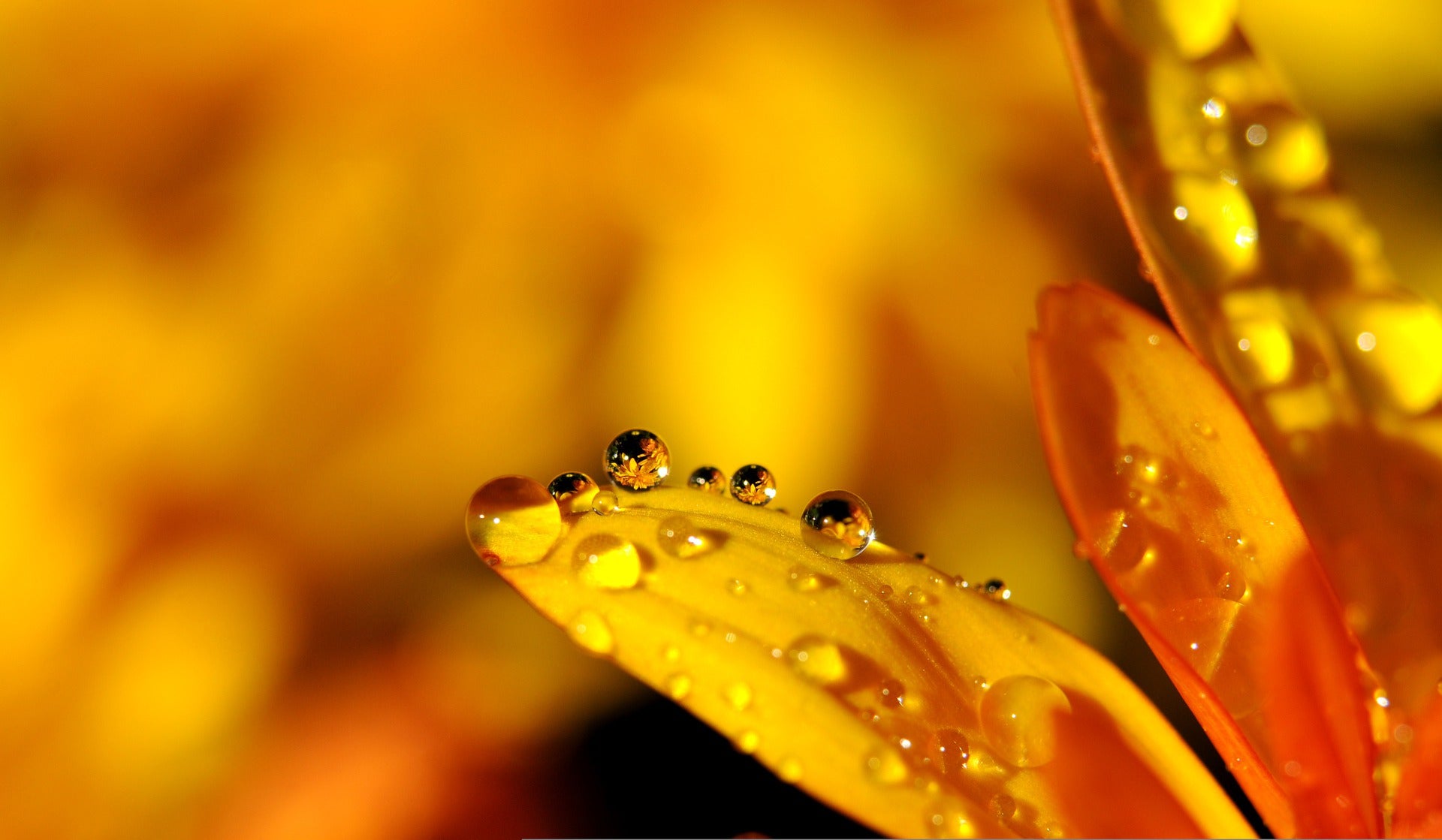 Le jaune primaire