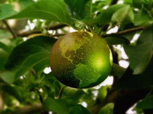 Le vert
